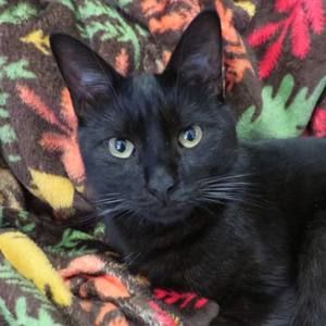 Meet your Posher, Andrea